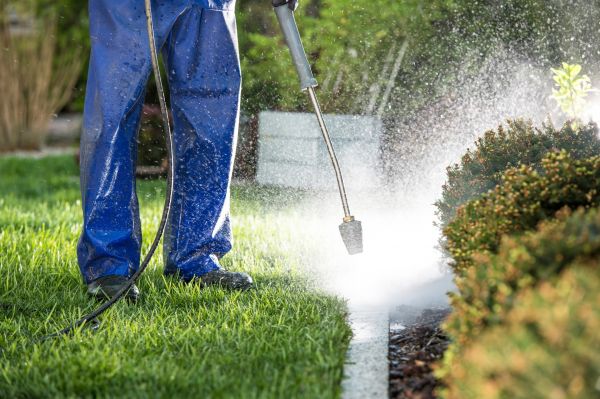 Cost of Curb Cleaning in Aurora