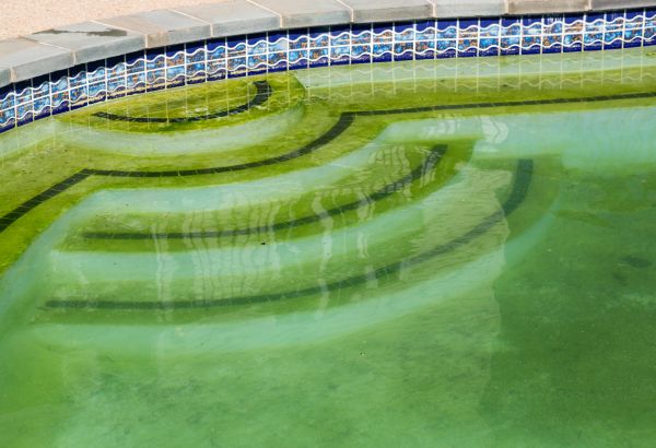 Cost of Pool Deck Algae Removal in Aurora