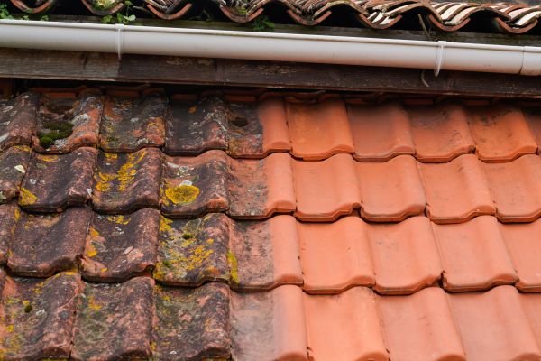 Industrial Roof Cleaning in Aurora